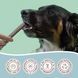 Веганское гипоаллергенное лакомство для чистки зубов Natural Dog Company Dental Treats, пачка 18шт