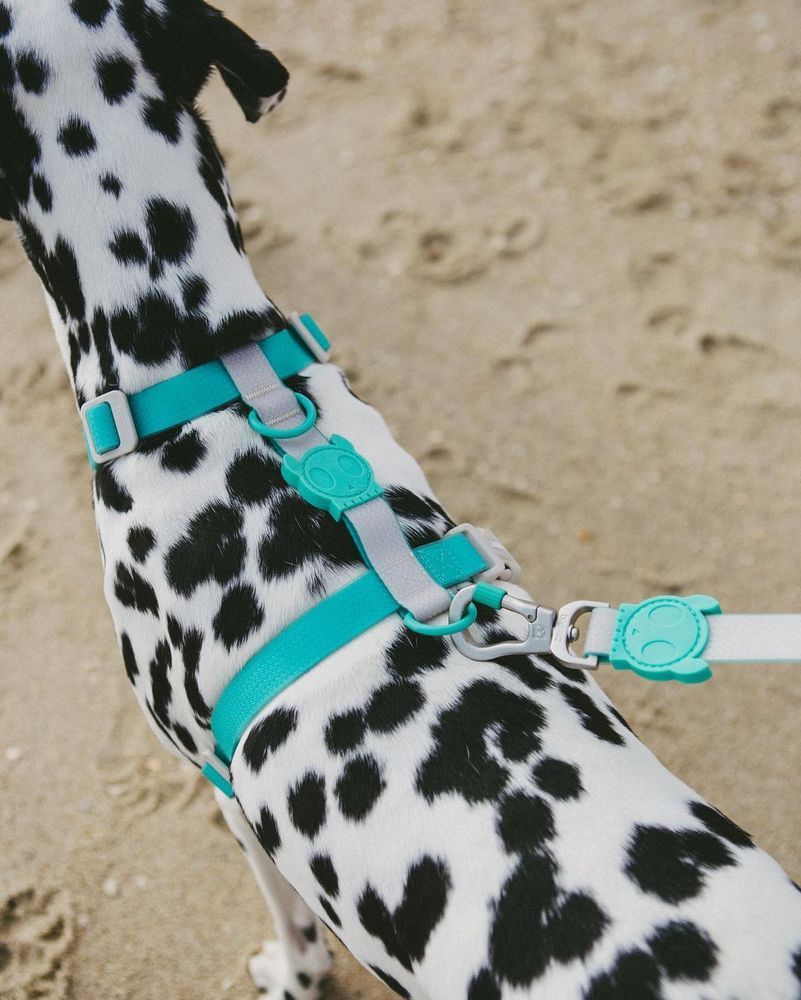 Шлейка для собак Zee.Dog Neopro Tidal, Розмір S