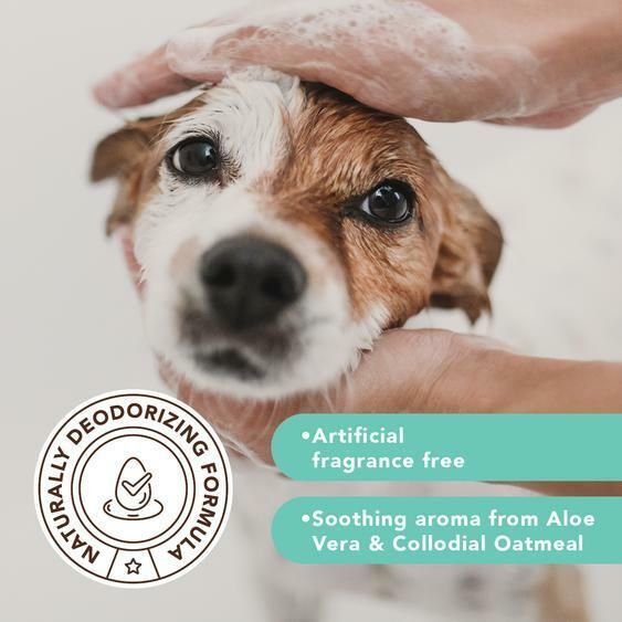 Шампунь для чувствительной кожи Sensitive Skin Natural Dog Company 360мл