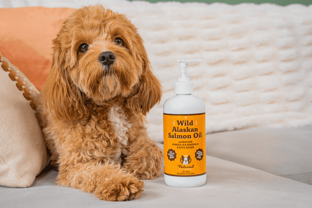 Лососевое масло Wild Alaskan Salmon Oil Natural Dog Company, 480мл
