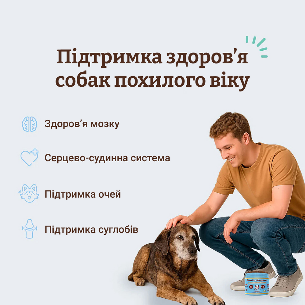 Витамины для пожилых собак Natural Dog Company Senior Support, 90 шт.