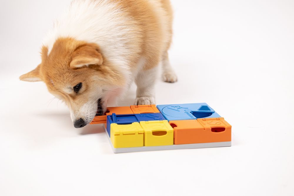 Развивающая игрушка конструктор для собак Pawzler Rainbow Set Mini