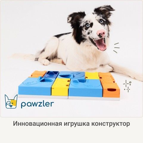 4_brands_pawzler