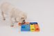 Развивающая игрушка конструктор для собак Pawzler Rainbow Set Mini