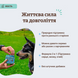 Витамины для пожилых собак Natural Dog Company Senior Support, 90 шт.