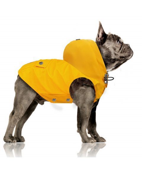 Дощовик для бульдога з капюшоном Milk&Pepper Babord Raincoat жовтий, Розмір 35L