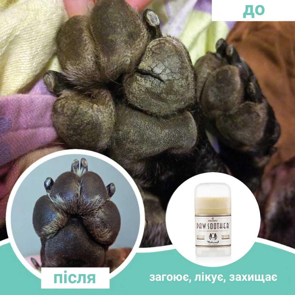Бальзам проти сухості лапок Paw Soother Natural Dog Company 59мл стік