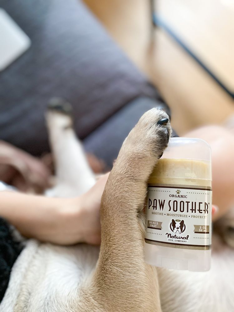Бальзам проти сухості лапок Paw Soother Natural Dog Company 59мл стік