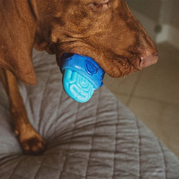 Іграшка для собак Zee.Dog Brain Freeze