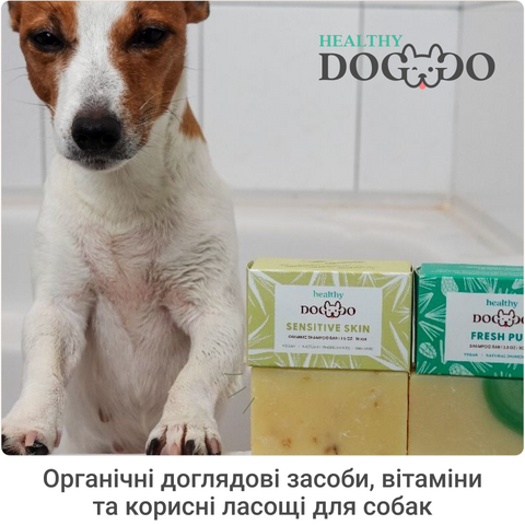 4_brands_healthydoggo