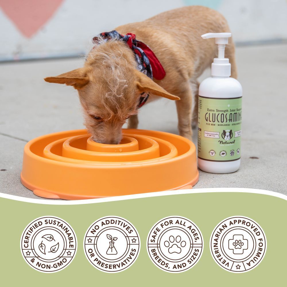 Жидкий глюкозамин Natural Dog Company 480 мл