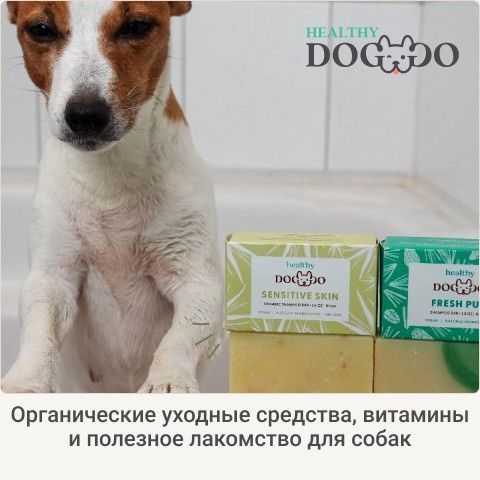 4_brands_healthydoggo