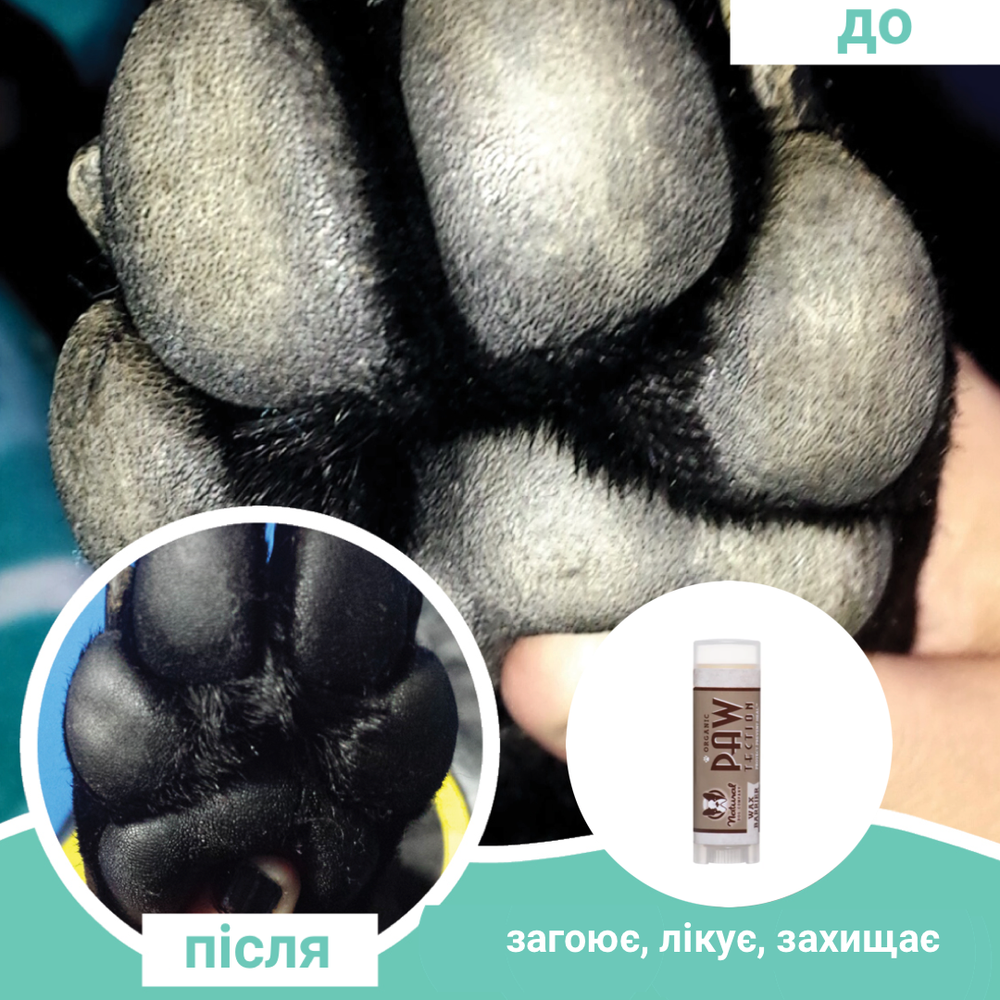 Бальзам для захисту лап Paw Tection Natural Dog Company 4.25мл стік