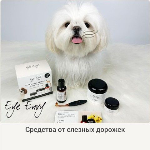 3_brands_eyeenvy