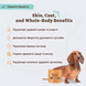 Жевательные лакомства с маслом дикого лосося из Аляски Natural Dog Company Wild Alaskan Salmon Chews