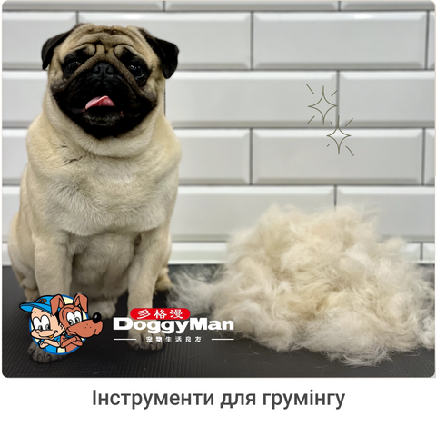 4_brands_doggyman